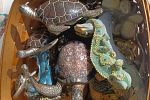 Sale Photo Thumbnail #12