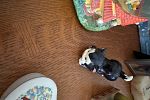 Sale Photo Thumbnail #15
