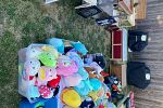 Sale Photo Thumbnail #10