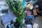 Sale Photo Thumbnail #6