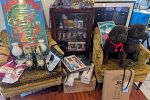 Sale Photo Thumbnail #7