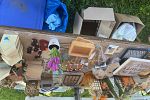 Sale Photo Thumbnail #19
