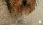 Sale Photo Thumbnail #63