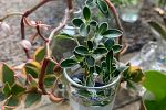 Sale Photo Thumbnail #18