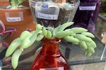 Sale Photo Thumbnail #19