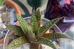 Sale Photo Thumbnail #25