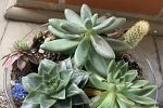 Sale Photo Thumbnail #11