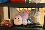 Sale Photo Thumbnail #11