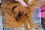 Sale Photo Thumbnail #91