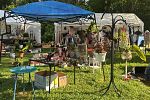 Sale Photo Thumbnail #10
