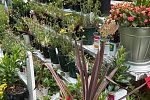 Sale Photo Thumbnail #15