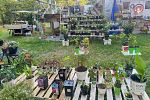 Sale Photo Thumbnail #26