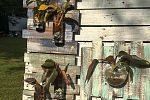 Sale Photo Thumbnail #32