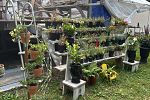 Sale Photo Thumbnail #17