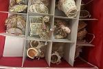 Sale Photo Thumbnail #18