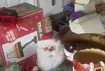 Sale Photo Thumbnail #22