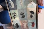 Sale Photo Thumbnail #106