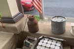 Sale Photo Thumbnail #23