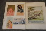 Sale Photo Thumbnail #33