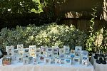 Sale Photo Thumbnail #14