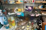 Sale Photo Thumbnail #7