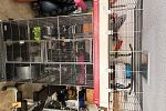 Sale Photo Thumbnail #10