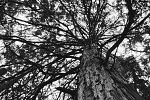 Sale Photo Thumbnail #43