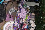 Sale Photo Thumbnail #7