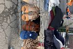 Sale Photo Thumbnail #17