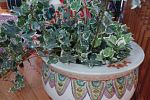 Sale Photo Thumbnail #23