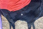Sale Photo Thumbnail #34