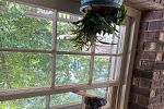 Sale Photo Thumbnail #42