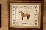 Sale Photo Thumbnail #20