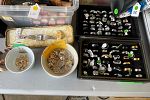 Sale Photo Thumbnail #21