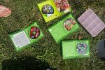 Sale Photo Thumbnail #7