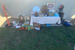 Sale Photo Thumbnail #1