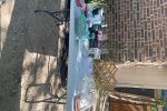 Sale Photo Thumbnail #8