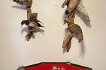 Sale Photo Thumbnail #61