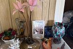Sale Photo Thumbnail #24