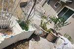 Sale Photo Thumbnail #138