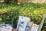 Sale Photo Thumbnail #140