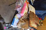 Sale Photo Thumbnail #17