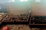 Sale Photo Thumbnail #84