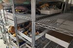 Sale Photo Thumbnail #20