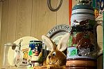 Sale Photo Thumbnail #7