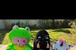 Sale Photo Thumbnail #11