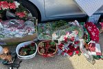 Sale Photo Thumbnail #20