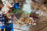 Sale Photo Thumbnail #5