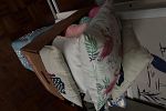 Sale Photo Thumbnail #16