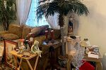 Sale Photo Thumbnail #35